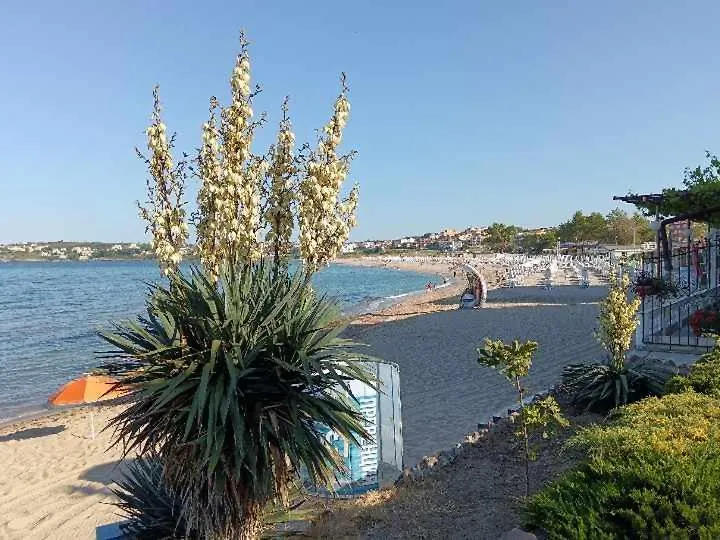Sea Time Sozopol Apartment